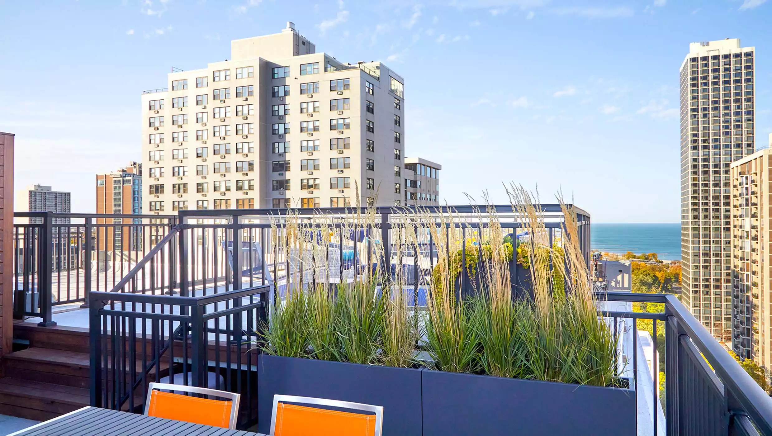 Astor Roof Deck - Gallery image 5