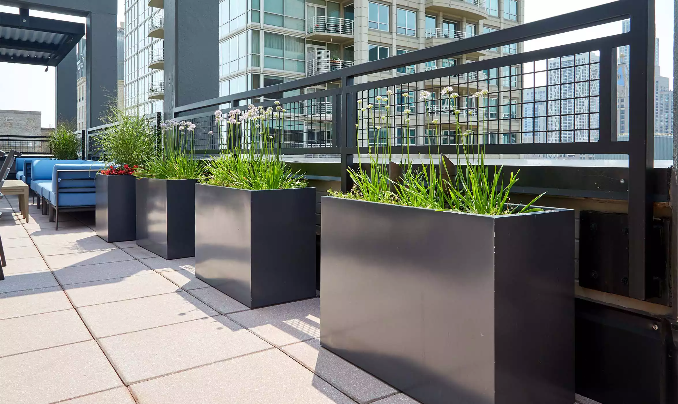 Chestnut Terrace - Gallery image 1