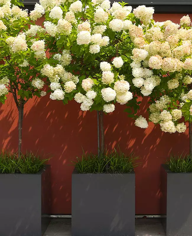 Plumbing - Gallery image 1