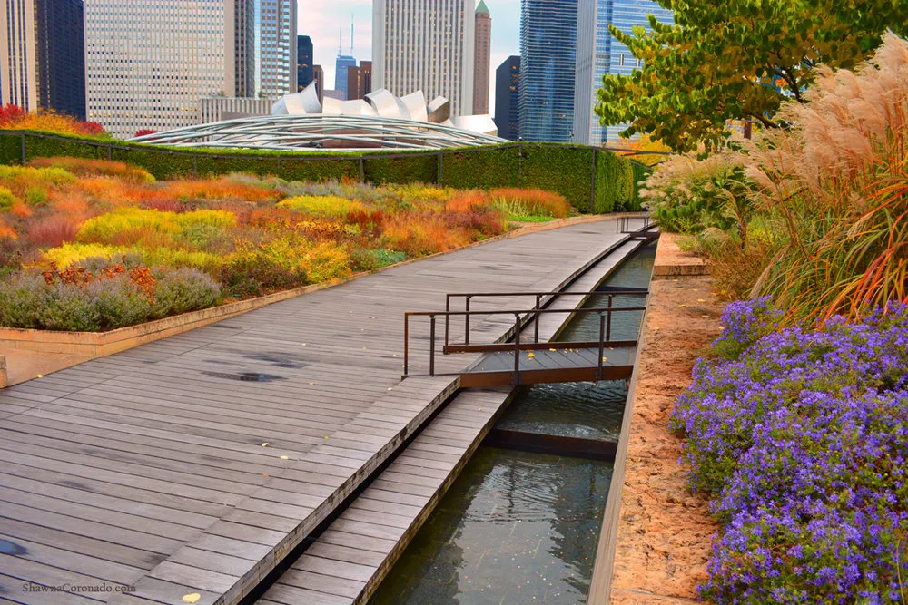 Lurie Garden at Millennium Park