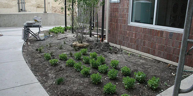 Reside on Barry outdoor space